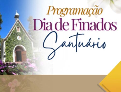 Programação especial para o último final de semana de novembro